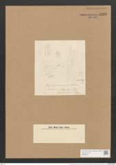Schizonema ramosissimum var. div. Ag. (de-Toni-Nr.: Genus 20, Species 1187) Zeichnungen Sammlung Grunow Nr. 2293 (NHMW-BOT-W0369414)